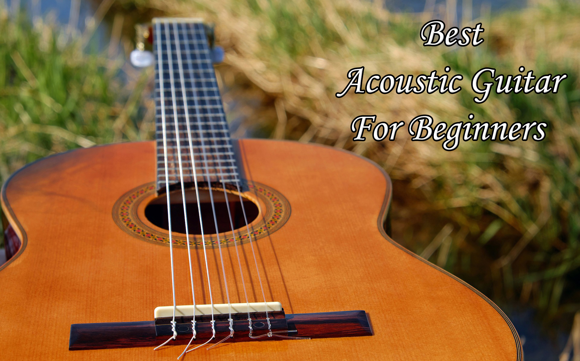 Best Acoustic Guitar For Beginners